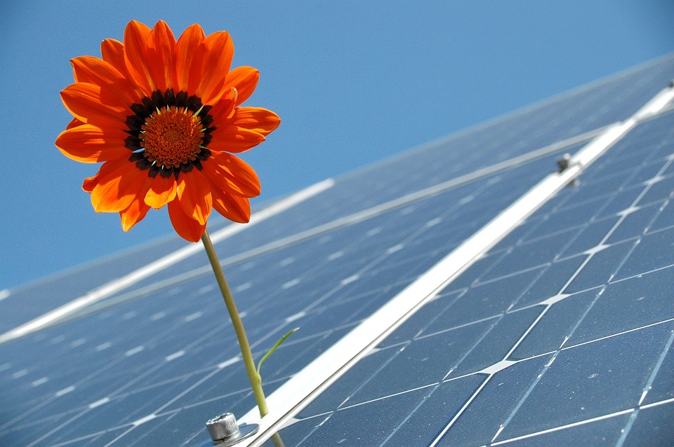 Photovoltaic Systems: Unlocking the Key to Energy Independence