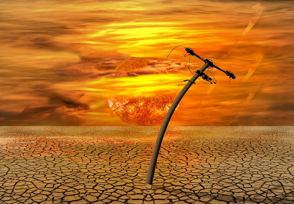 Solar Solutions: How Businesses Are Embracing Renewable Power