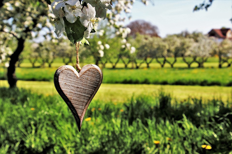 The Complete Guide to Water Harvesting: A Comprehensive Overview