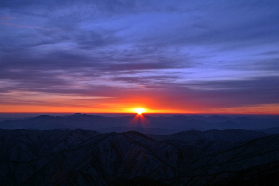 Birds With Shrinking Eye Size Linked to Light Pollution
