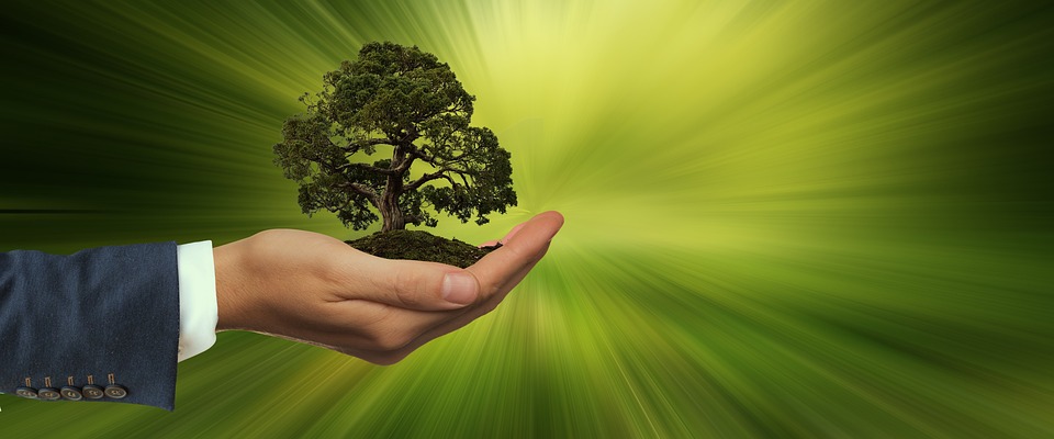 The Green Revolution: How Sustainable Energy is Reshaping the Global Energy Landscape