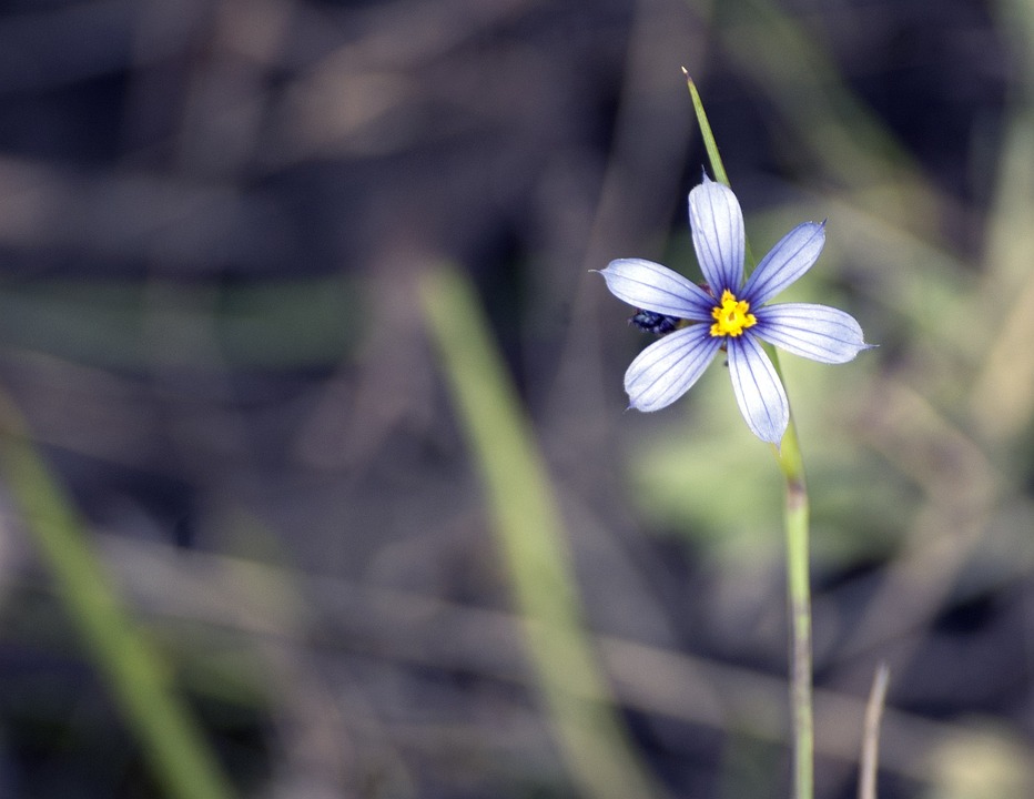 Unlocking the Potential of Sustainable Energy: A Path to a Cleaner Future