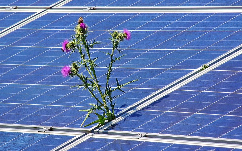 Solar Sustainability: A Renewable Energy Solution for a Sustainable Future