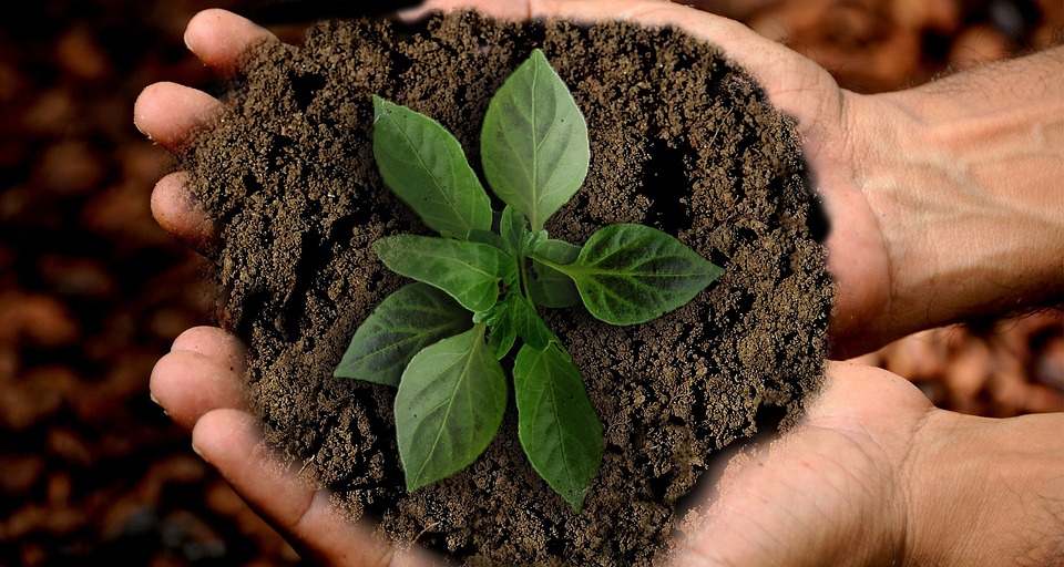 Solar sustainability: A key solution to combatting climate change