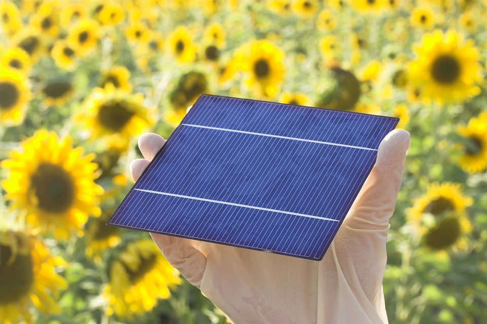 The Rise of Solar Cells: Shaping the Energy Landscape for a Sustainable Future